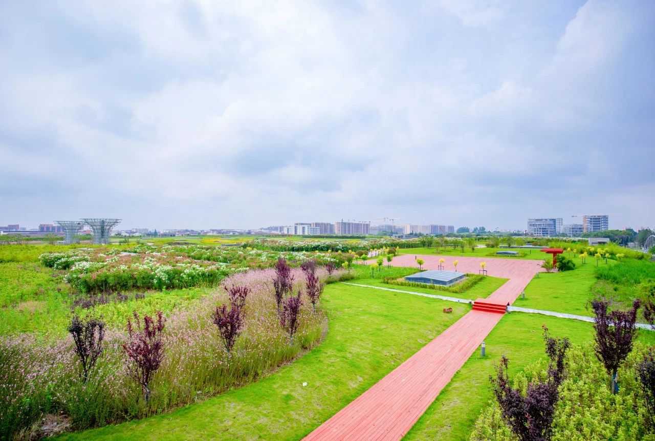 城投水务污水公司虹桥污水处理厂荣获五星&ldquo;零碳工厂&rdquo;认证